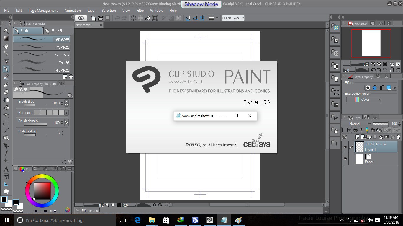 Clip studio paint serial number not working